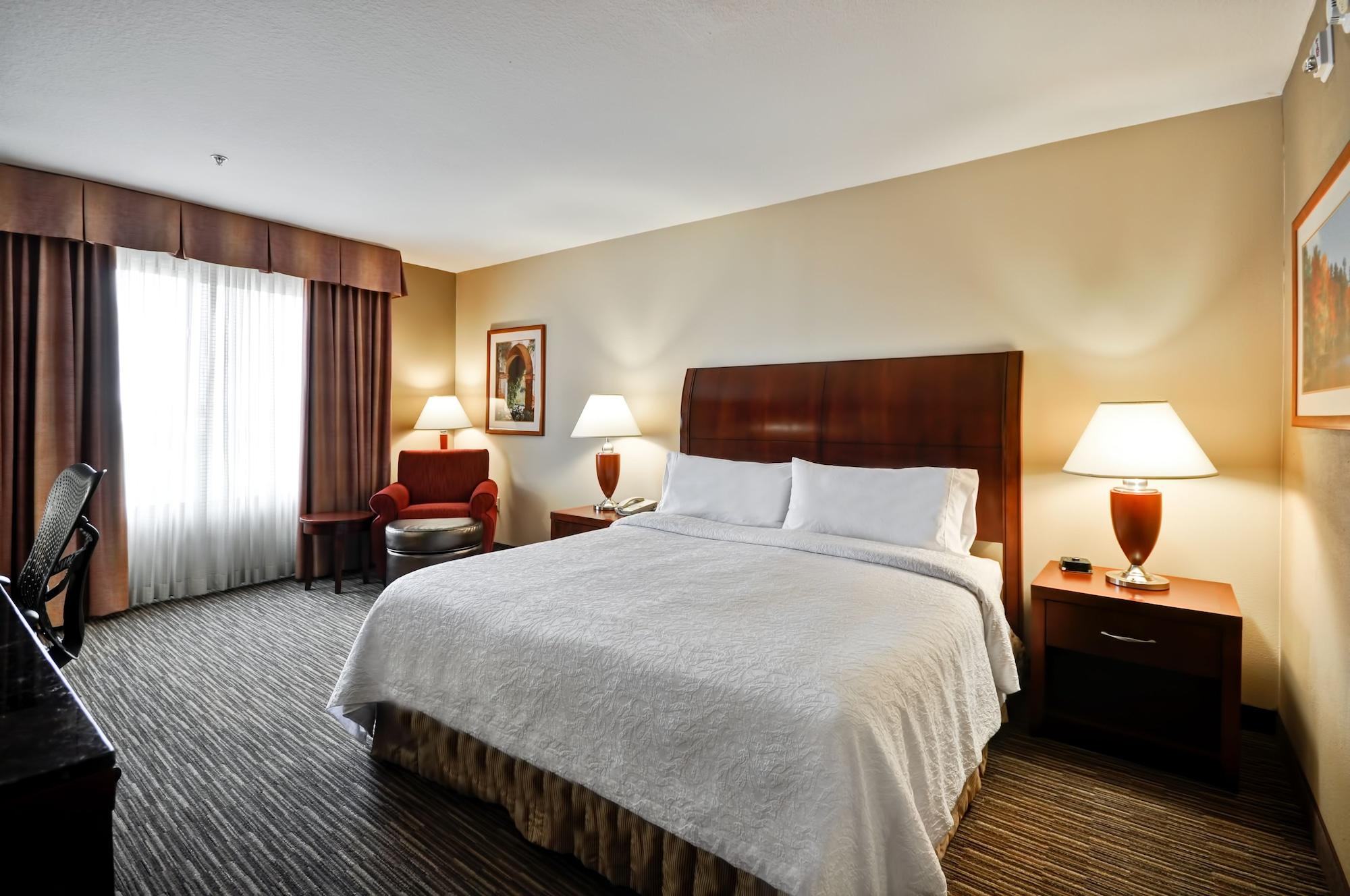 Hilton Garden Inn Tampa Northwest/Oldsmar Eksteriør bilde
