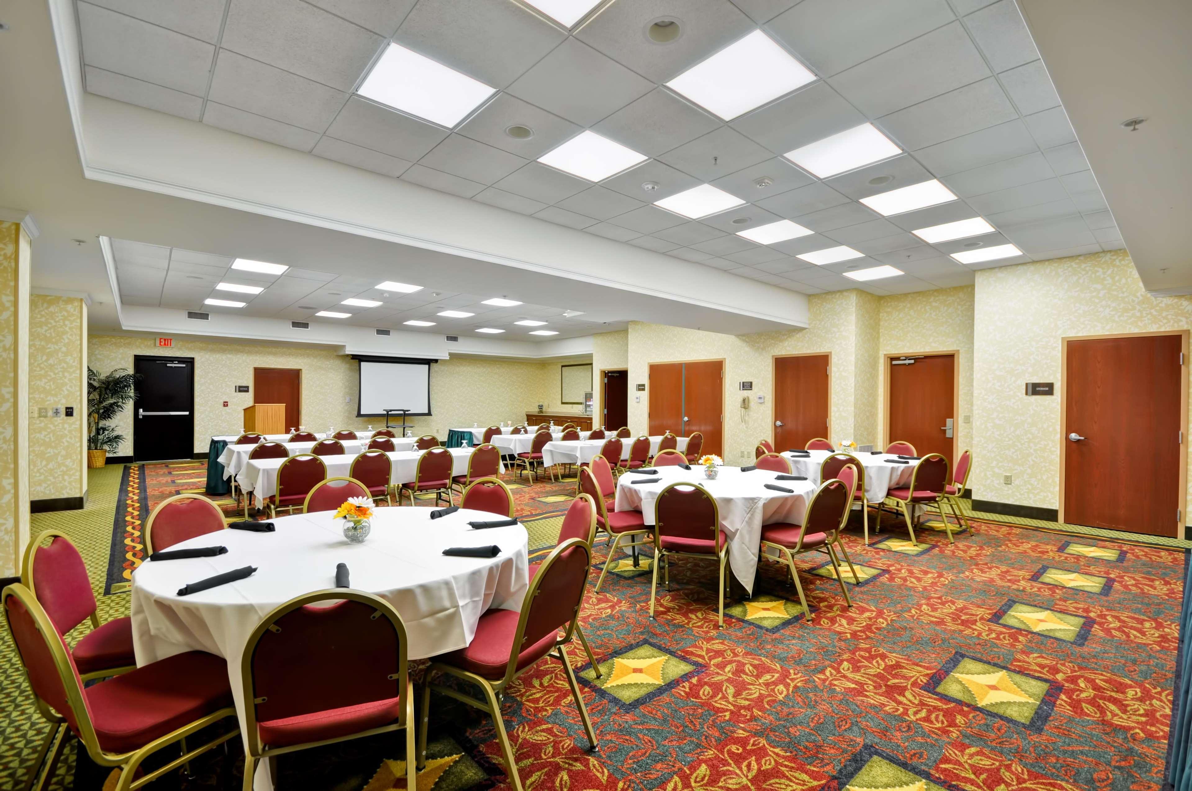 Hilton Garden Inn Tampa Northwest/Oldsmar Eksteriør bilde