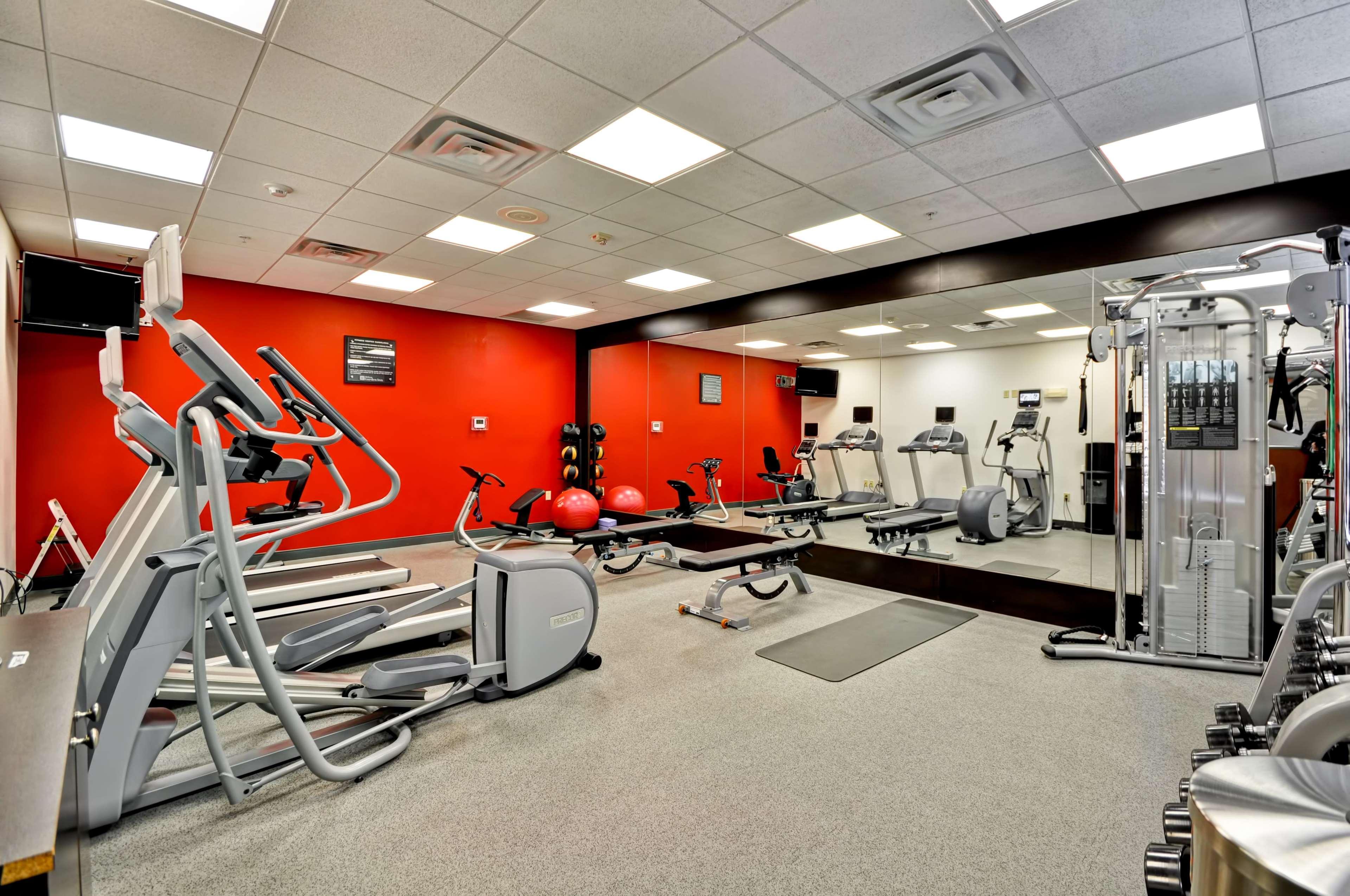 Hilton Garden Inn Tampa Northwest/Oldsmar Eksteriør bilde
