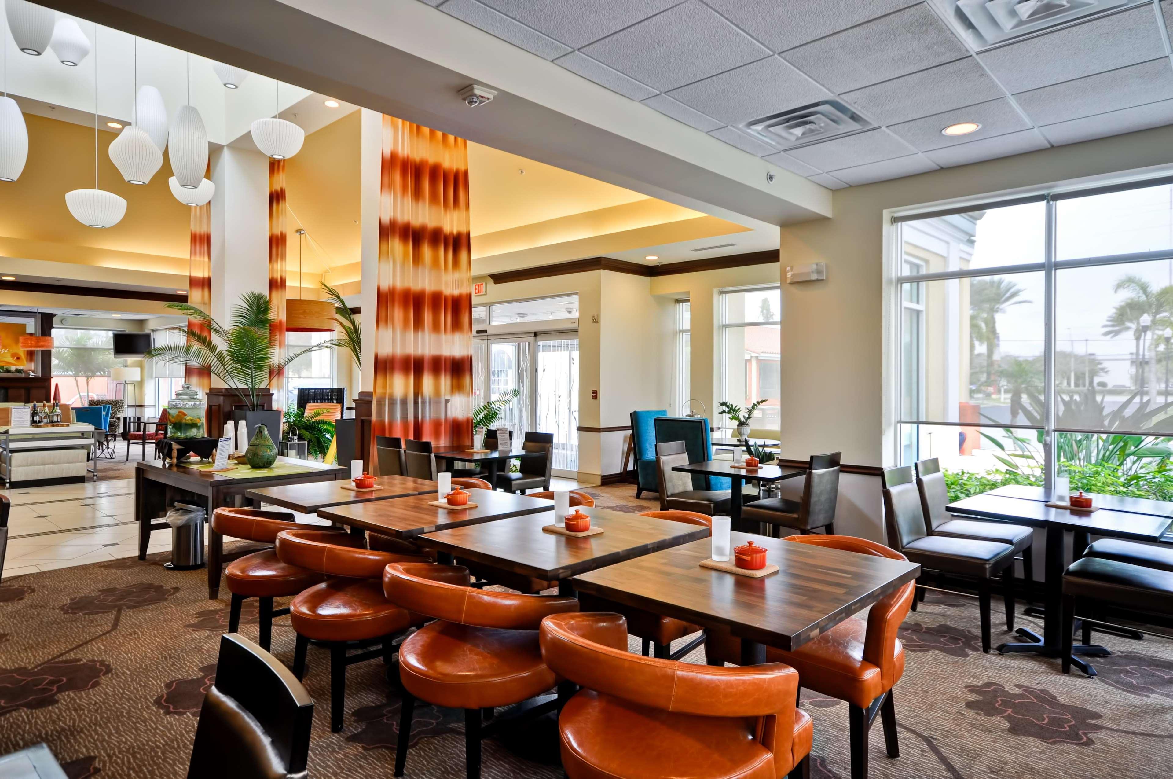 Hilton Garden Inn Tampa Northwest/Oldsmar Eksteriør bilde