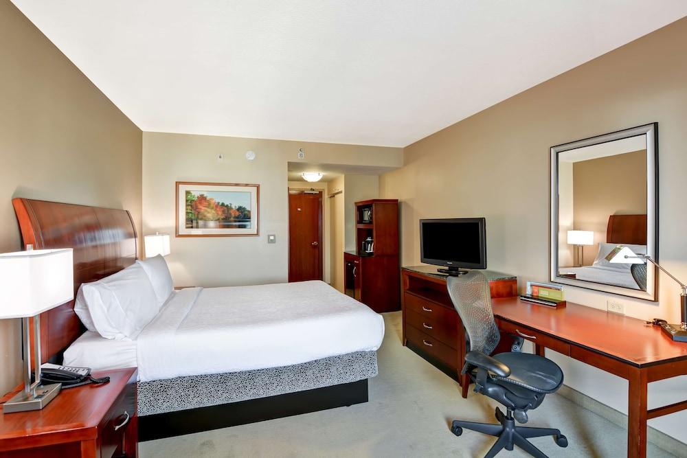 Hilton Garden Inn Tampa Northwest/Oldsmar Eksteriør bilde