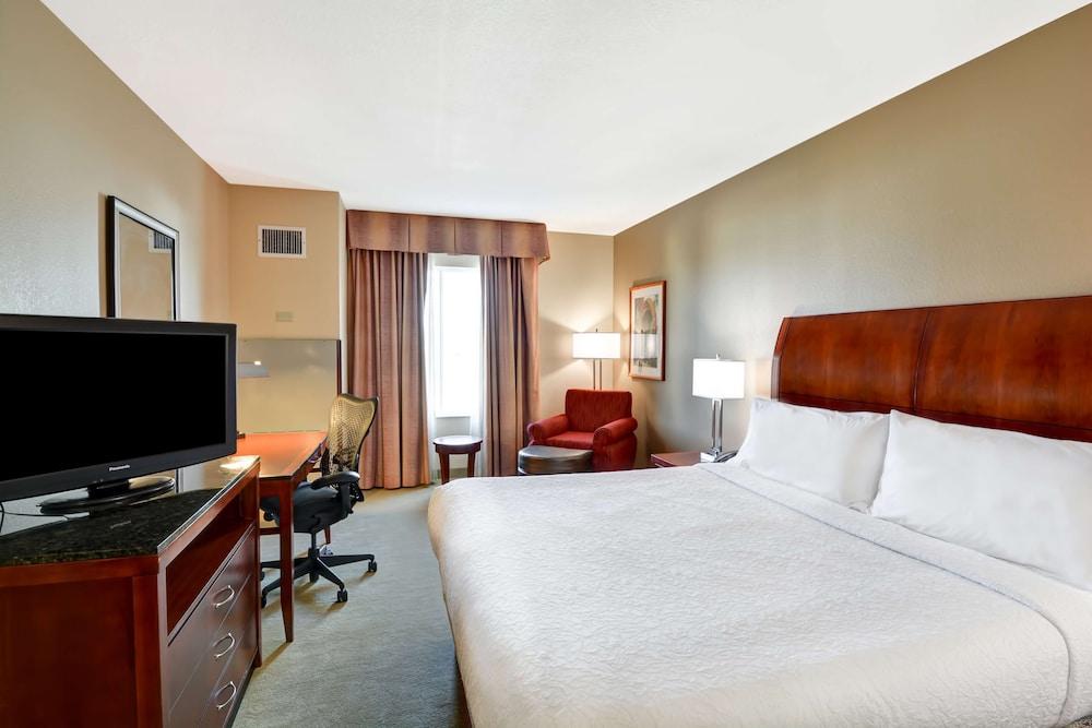 Hilton Garden Inn Tampa Northwest/Oldsmar Eksteriør bilde