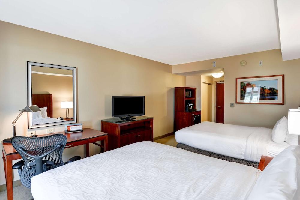Hilton Garden Inn Tampa Northwest/Oldsmar Eksteriør bilde