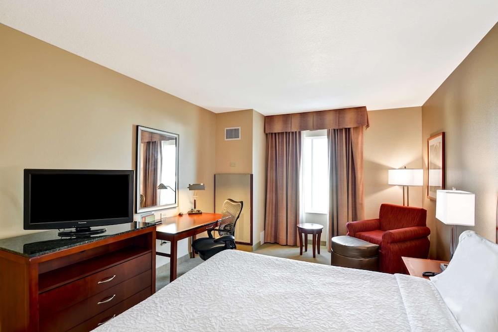 Hilton Garden Inn Tampa Northwest/Oldsmar Eksteriør bilde