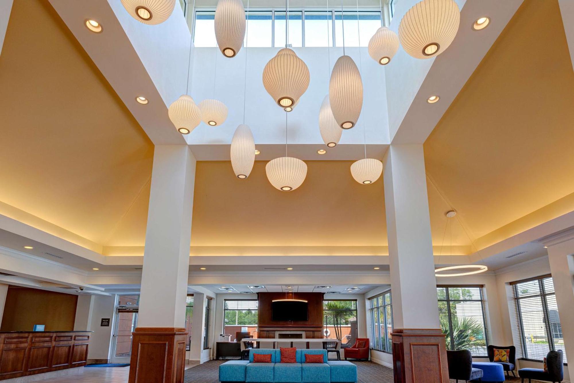 Hilton Garden Inn Tampa Northwest/Oldsmar Eksteriør bilde