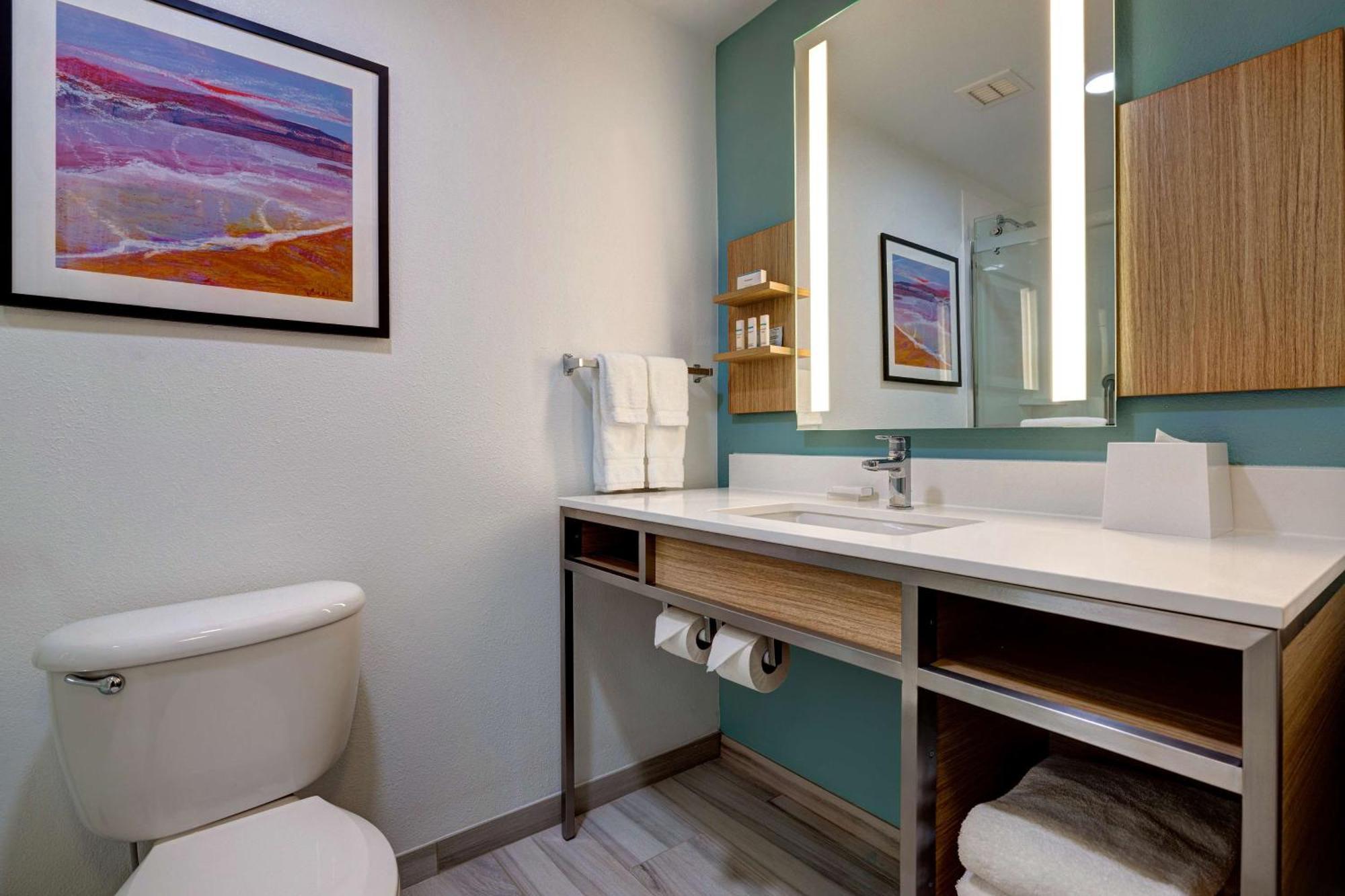 Hilton Garden Inn Tampa Northwest/Oldsmar Eksteriør bilde