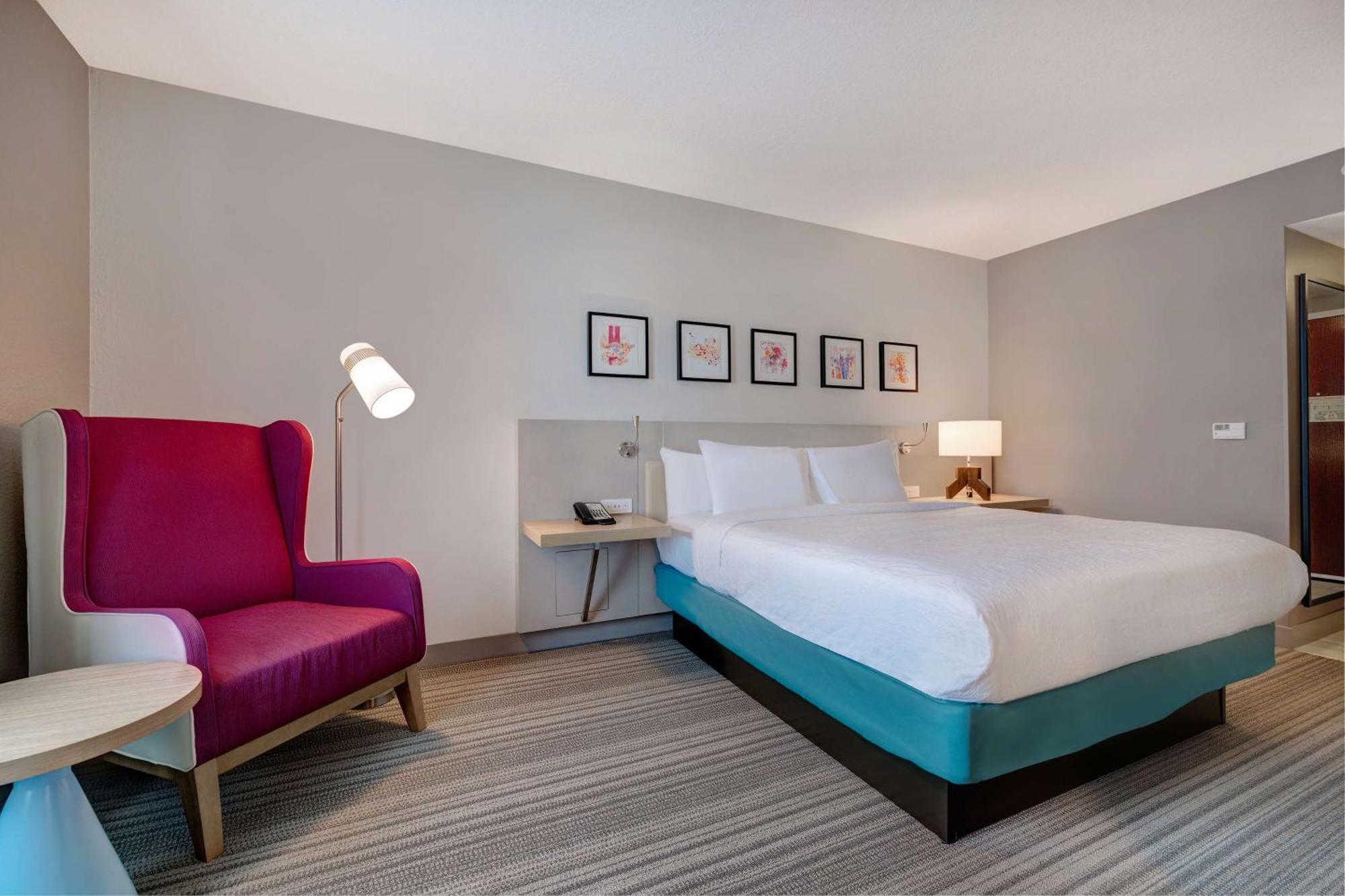 Hilton Garden Inn Tampa Northwest/Oldsmar Eksteriør bilde