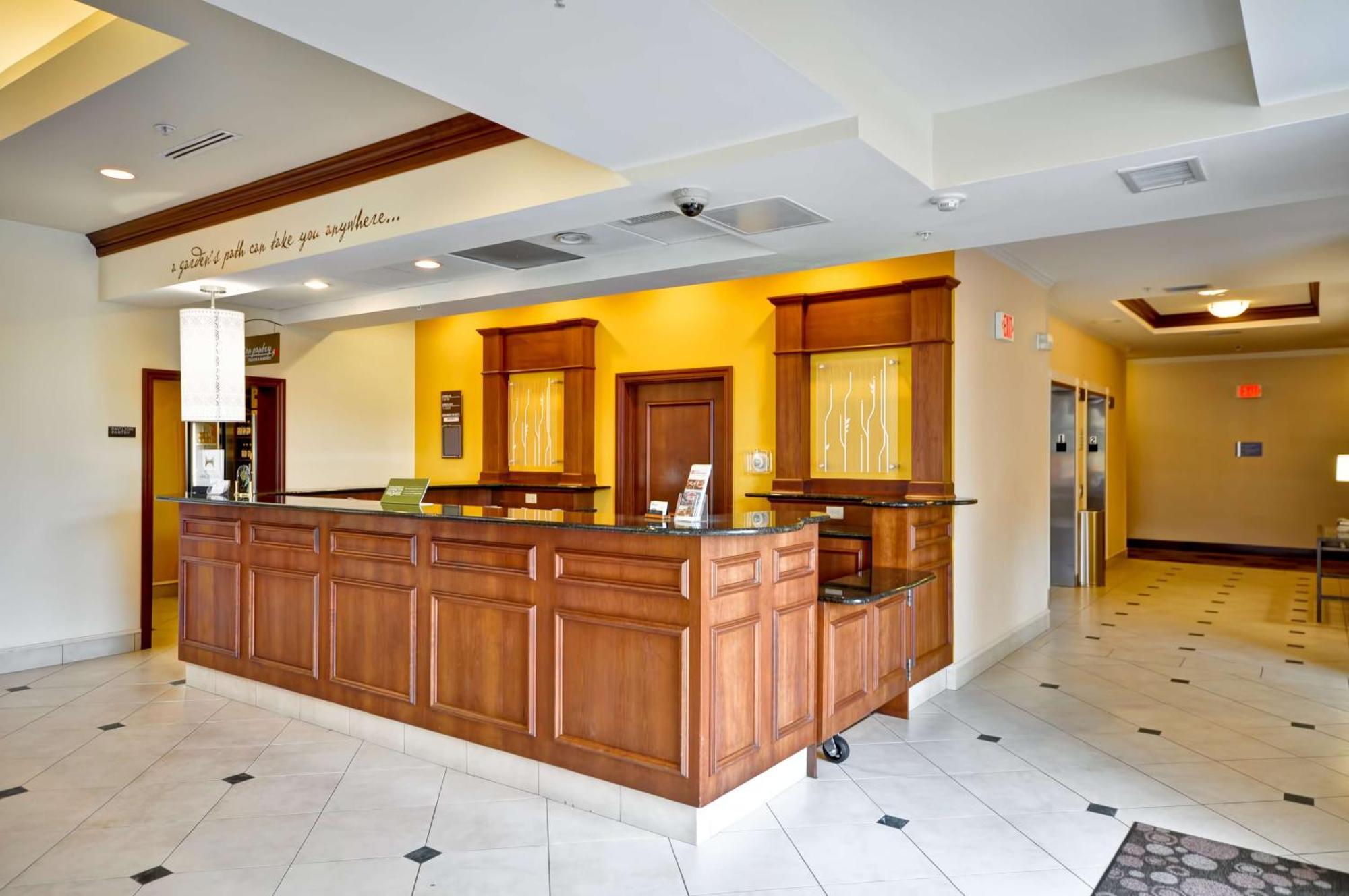 Hilton Garden Inn Tampa Northwest/Oldsmar Eksteriør bilde