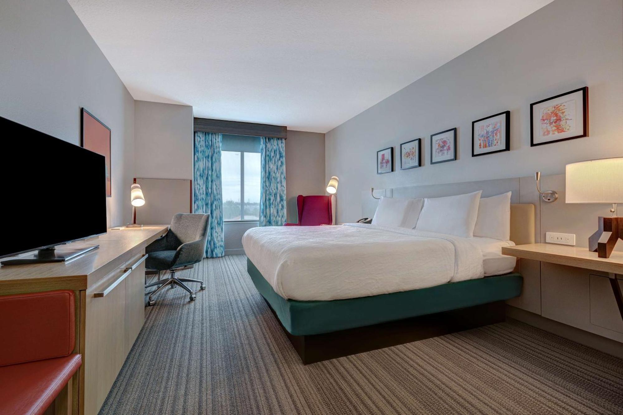 Hilton Garden Inn Tampa Northwest/Oldsmar Eksteriør bilde