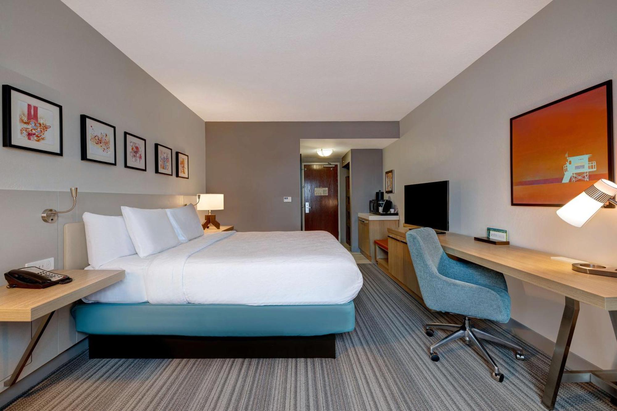 Hilton Garden Inn Tampa Northwest/Oldsmar Eksteriør bilde